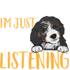 Bernedoodle Dog