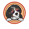 Chien Bernedoodle