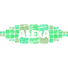 Gift for Alexa