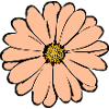 Fleur Pastel Fleurs Fleurs Pastel