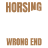 Horse Equestrian Sports