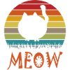 Funny cute cat