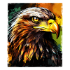 Eagle Portrait