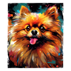 Pomeranian Dog Portrait