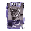 Hip Hop Rapper Cat