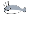 Sacambaspis Poisson ancien Meme Caution