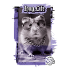 Gold Chains Rapper Hamster