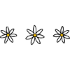 Three daisies