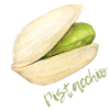 Pistachio with shell and pit