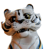 Tigre face