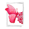 Rosenschmetterling - Sonja Ariel von Staden