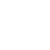 Bringing back the past