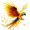 Macaw (01)