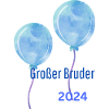 Großer Bruder 2024