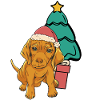 Dog, Christmas Tree, Pets, Kids