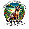 Fossa Madagascar Fossas