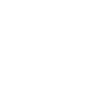 Jesse