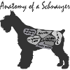 SCNAUZER anatomy