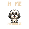 Home - Havanese