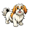Confident Lhasa Apso Parade