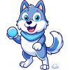 Snowball Showdown: Siberian Husky Delight