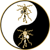 Shaman dancing in Yin Yang