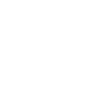 Party