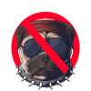bad dog