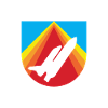 Aviation Pilot Flyer