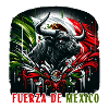 Mexico bullfight design
