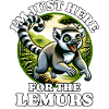Lemur Madagascar Lemurs
