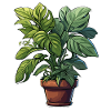 Stueplante / Potteplante / Dekoration / Krukke