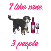 Bernedoodle Dog