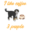 Chien Bernedoodle