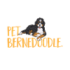 Bernedoodle Dog