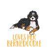 Chien Bernedoodle