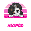 Bernedoodle Dog