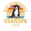 Bernedoodle Dog
