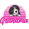 Chien Bernedoodle