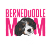Chien Bernedoodle