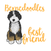 Bernedoodle Dog