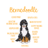 Bernedoodle Dog