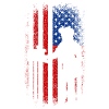 Usa American flag Mail lady