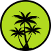 Palm trees