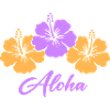 blume hibiskus aloha