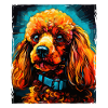 Poodle Dog Portrait