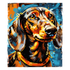 Dachshund Hund Portrait Dackel