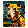 Greyhound Dog Portrait