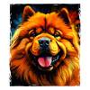 Chow Chow Dog Portrait