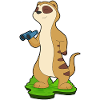 Jumelles suricates